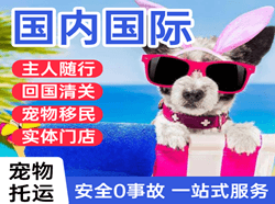 济宁大安空运代理国际宠物托运 【国